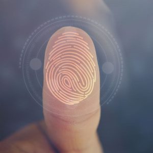 bereal-authenticity-marketing