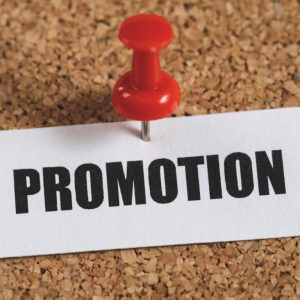 pinterest-promoted-pins-shopping-and-awareness-campaigns
