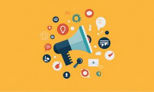 social-media-audit-procedures